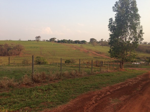 Meu jardim de Giverny